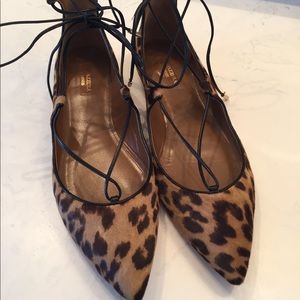 AQUAZURRA Leopard Print Calf Skin Lace Up